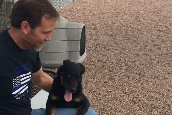 Rock Springs Animal Control Debuts Dog Run | Rock 99.7 KSIT | Where